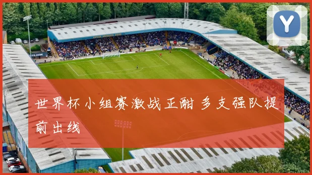 世界杯小组赛激战正酣 多支强队提前出线