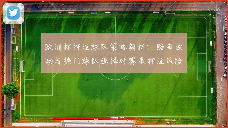 欧洲杯押注球队策略解析：赔率波动与热门球队选择对赛果押注风险提示