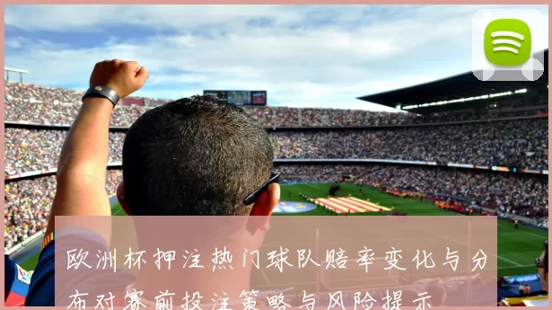 欧洲杯押注热门球队赔率变化与分布对赛前投注策略与风险提示