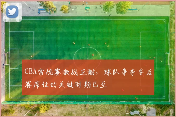 CBA常规赛激战正酣，球队争夺季后赛席位的关键时期已至